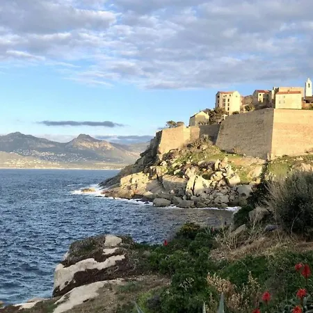 Villa En Bord De Mer Avec Piscine Interieure Et Vues Splendides Sur La Mediterranee Et Citadelle De Calvi - Fr-1-719-4 *